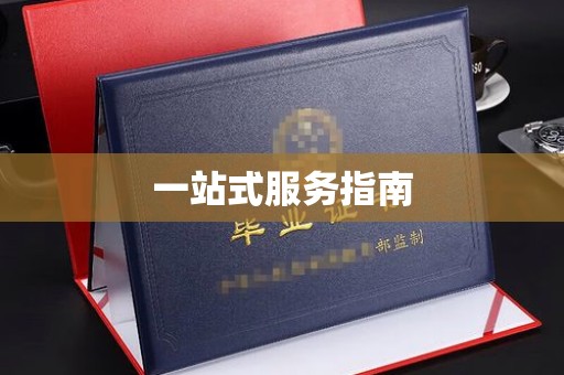 广东一站式服务指南