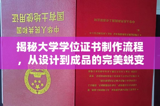 广东揭秘大学学位证书制作流程，从设计到成品的完美蜕变