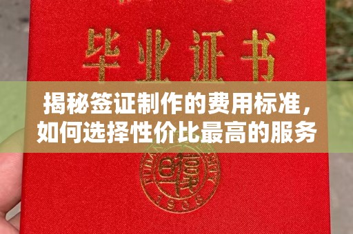 广东揭秘签证制作的费用标准，如何选择性价比最高的服务？