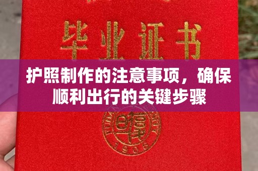 广东护照制作的注意事项，确保顺利出行的关键步骤