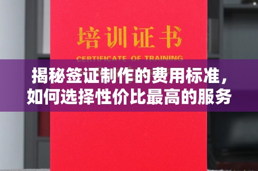 广东揭秘签证制作的费用标准，如何选择性价比最高的服务？
