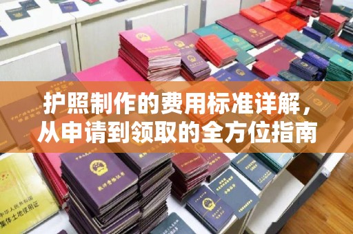 广东护照制作的费用标准详解，从申请到领取的全方位指南