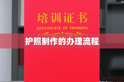 广东护照制作的办理流程