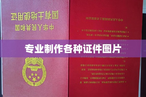 广东专业制作各种证件图片